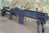 BF M14 EBR