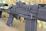 BF M14 EBR